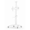 TV-teline lattiajalusta 37-70/WEISS TVS-70T-02-W Gembird