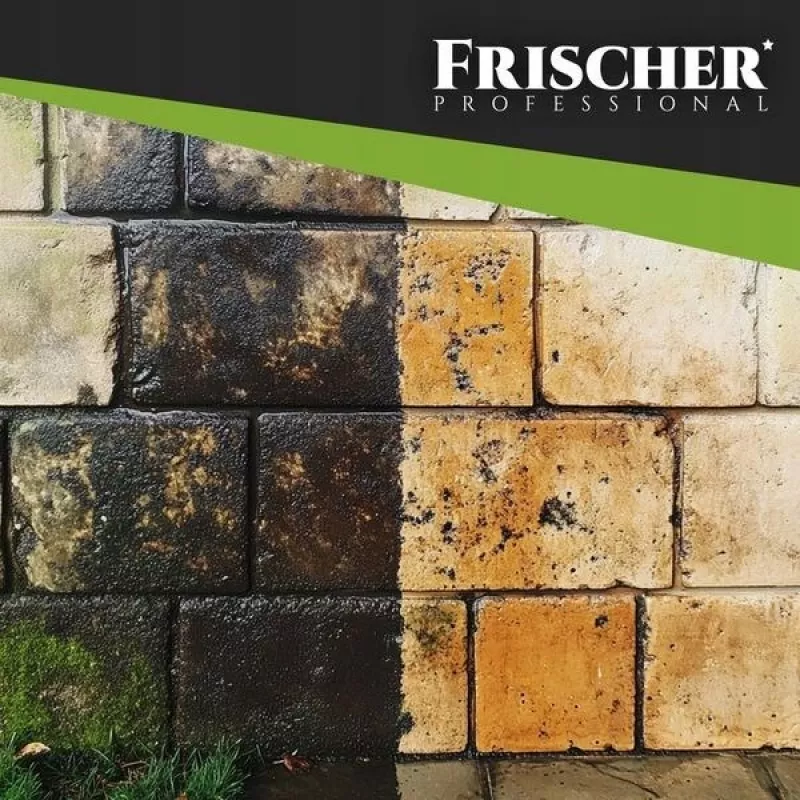 Frischer julkisivunpuhdistusaine 1 l