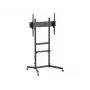 Equip Economy TV-teline 55 tuumaa - 100 tuumaa, 2,54 m (100 tuumaa), 100 x 100 mm, 800 x 600 mm, -10 - 5°, muovi, ruostumaton teräs, musta
