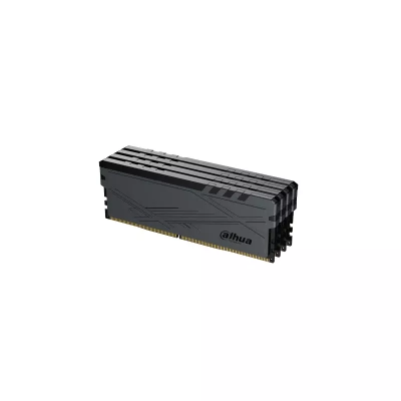Dahua Technology DDR-C600UHD16G36 muistimoduuli 16 GB 1 x 16 GB DDR4 288-Pin DIMM