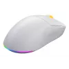 HATOR Quasar 3 Wireless -hiiri Gaming molempikätinen RF Wireless + Bluetooth + USB Type-A optinen 12 000 DPI