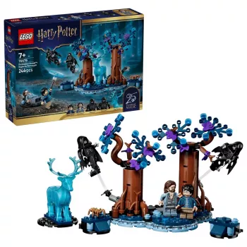 LEGO Harry Potter 76475 Kielletty metsä: Expecto Patronum (244 osaa)