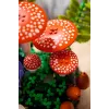 LEGO Botanicals 11505 Metsäsienet (806 osaa)