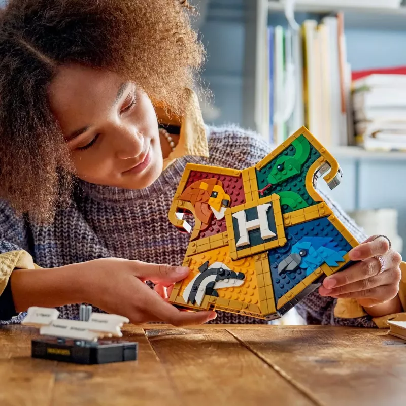 LEGO Harry Potter 76462 Tylypahkan tupavaakunat (545 osaa)