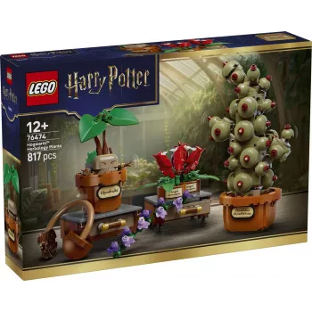 LEGO Harry Potter 76474 Tylypahkan yrttitieto kasvit (817 osaa)