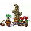 LEGO Harry Potter 76474 Tylypahkan yrttitieto kasvit (817 osaa)