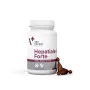 VetExpert Hepatiale Forte Small Breed & Cats 40 kapselia