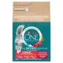 Purina ONE -kuivaruoka kissoille naudalla ja vehnällä 2,8 kg
