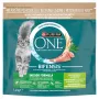 Purina ONE Indoor Formula -kissa kalkkuna 1,4 kg