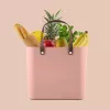 Rotho Multibag Albula Style 25L säilytyslaatikko, Meadow Rose