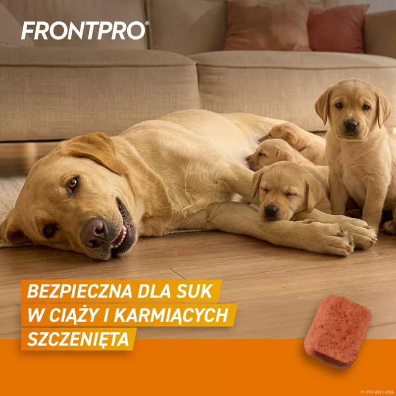 FRONTPRO kirppu- ja punkkitabletit koirille (25-50 kg) - 3x 136 mg Afoxolaner purutabletit