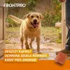 FRONTPRO kirppu- ja punkkitabletit koirille (25-50 kg) - 3x 136 mg Afoxolaner purutabletit