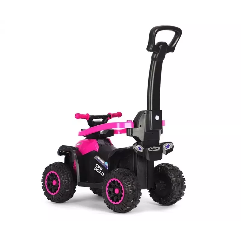 MILLY MALLY lasten polkupyörä työntövarrella Wild Pink 12