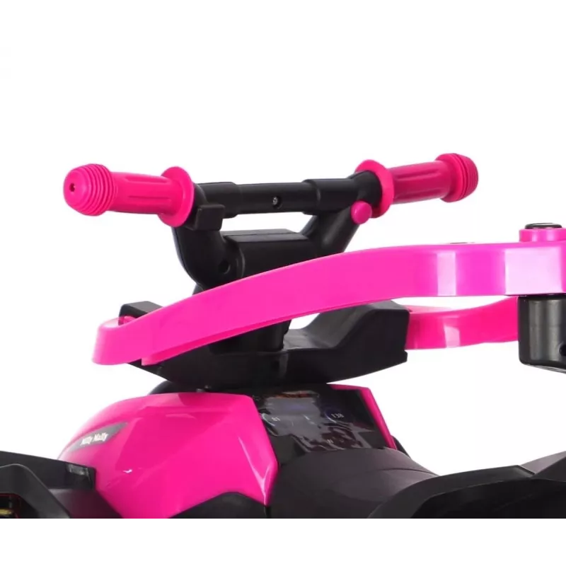 MILLY MALLY lasten polkupyörä työntövarrella Wild Pink 12