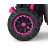 MILLY MALLY lasten polkupyörä työntövarrella Wild Pink 12