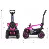 MILLY MALLY lasten polkupyörä työntövarrella Wild Pink 12