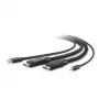 Belkin Secure KVM Combo -kaapeli - näppäimistö/kuva/hiiri/ääni -kaapeli - TAA-yhteensopiva - USB, Mini-liitin, DisplayPort (liitin) - 3 m