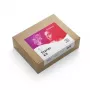 Grenton Starter Kit, Black Panel - älykoti-järjestelmä, jossa GATE, Smart Panel Lite, relemoduuli
