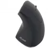 Equip 245110 pystysuora ergonominen langaton hiiri - oikeakätisille - 2,4 GHz - USB-vastaanotin - musta