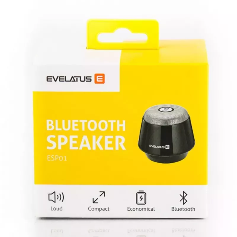 Evelatus ESP01 Bluetooth-kaiutin hopea