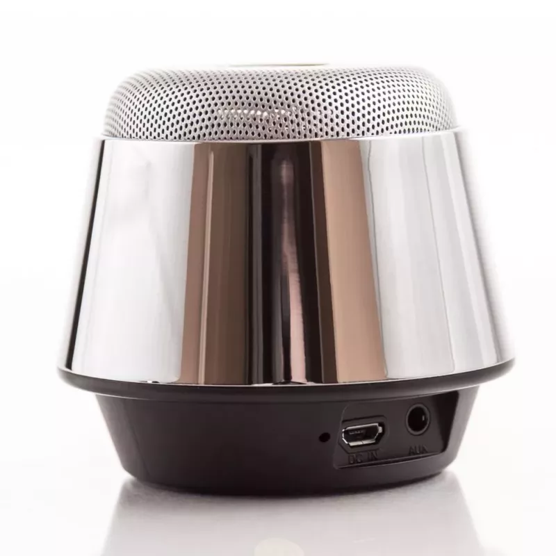 Evelatus ESP01 Bluetooth-kaiutin hopea