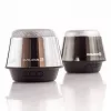 Evelatus ESP01 Bluetooth-kaiutin hopea