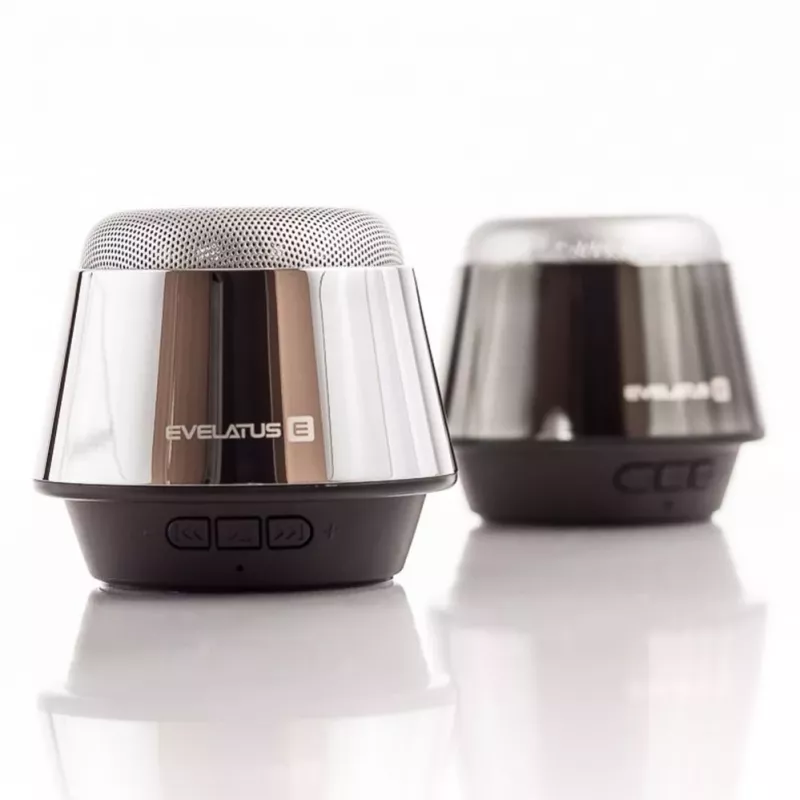 Evelatus ESP01 Bluetooth-kaiutin hopea