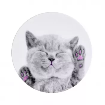 iLike Yleispidike Pop Cat