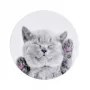 iLike Yleispidike Pop Cat