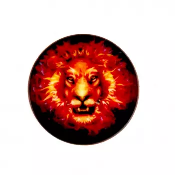 iLike Universal Pop -pidike Fire Lion