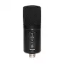 SGG Stagg SUSM60D USB-kondensaattorimikrofoni