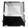 SYNERGY21 LED valonheitin 50W RGB-WW RGB-CCT IP65 230V