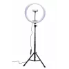 RIO RL12-EU/1,4 30 cm Studio RGB -kauneusrengasvalo