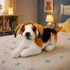 LEAN TOYS Pehmo-beagle-koira, pehmolelu, pehmeä koira, 25 cm