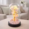 LEAN ikuinen ruusu lasikuvussa LED-kristallivalaistus 21,5 x 11 cm
