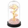 LEAN ikuinen ruusu lasikuvussa LED-kristallivalaistus 21,5 x 11 cm
