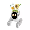 Neulottu asu Loona Premium Sunflower