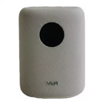 WiiM LPWISNDW Sound älykaiutin, valkoinen