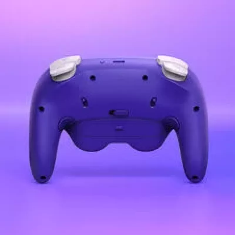 NYXI Warrior Switch 1 & 2 ohjain - violetti