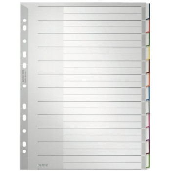 Leitz 1273 A4 blanko-rekisterisarja, 10 rekisterikielekettä, polypropyleeni, harmaa 1273-00-00