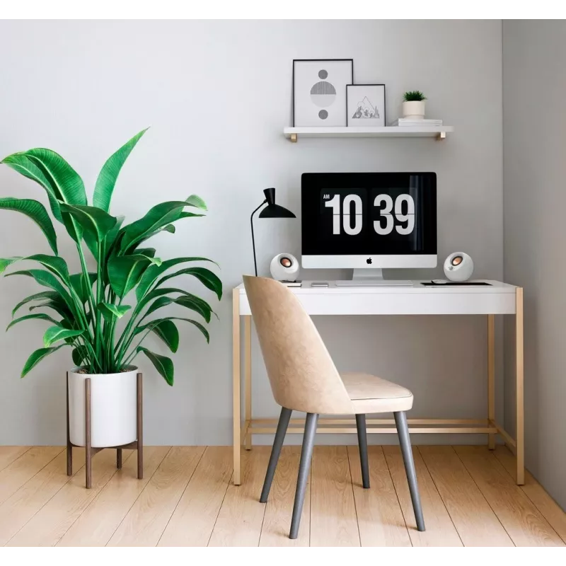 Creative Labs Pebble V3 valkoinen johdollinen & johdoton 10 W