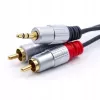 Audiokaapeli Qoltec 52340 2 m 2xRCA 3,5 mm musta