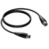 Audiokaapeli Procab XLR-pistoke XLR-liitäntään 5 m (malli 1KPCL118)