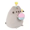 Pehmolelu Pusheen Pusheenilta — 24 cm syntymäpäivähattu kakun kanssa pehmolelu