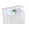 Pakastin Amica GT 311 105 W