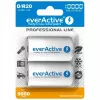 Uudelleenladattava akku everActive EVHRL20-10000 D NiMH 1,2 V 2 kpl