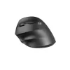 Hiiri NATEC CRAKE 2 Office vasenkätinen Bluetooth