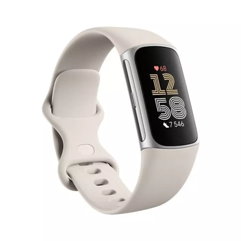 Fitbit GA05185-EU tuote hopea