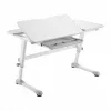 Ergo Office lasten ergonominen korkeussäädettävä työpöytä, harmaa, enintään 100 kg, ER-417 2cz