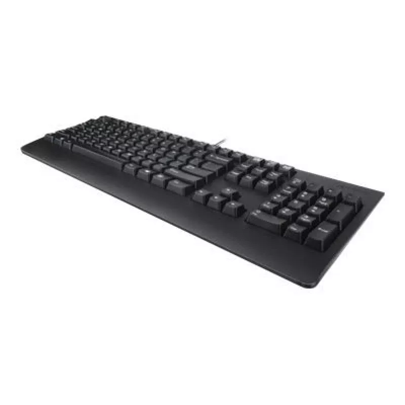 Lenovo 4X30M86918 näppäimistö Office USB QWERTY US Englanti musta